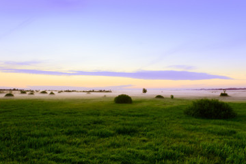 Countryside landscape of the colorful sky and steam fog above meadows just before sunrise.