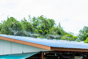 sprinkler on the roof cooling.