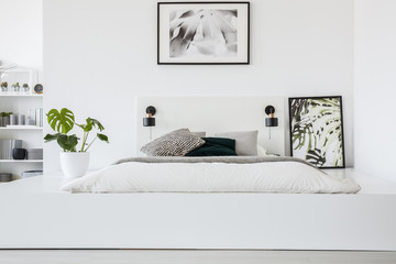 Poster above bed on platform in white bedroom interior with plant and lamps. Real photo