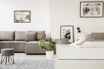 Grey stool in front of beige corner sofa in open space interior with bed and posters. Real photo - obrazy, fototapety, plakaty