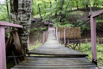 old wooden bridge in deep forest, natural vintage background