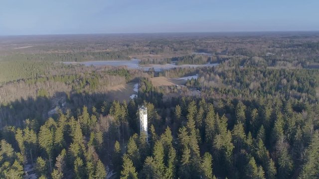 2808_Aerial_view_of_the_pine_trees_on_the_forest_in_Estonia.mp4
