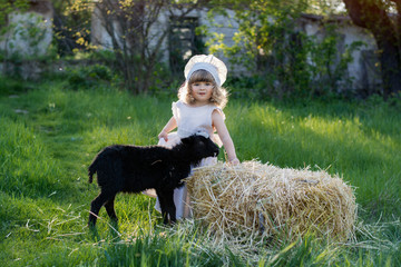 A beautiful child is playing in the garden with a sheep. A girl in a white dress is feeding the animals with hay