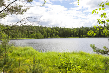 Forest lake in a midland of Europe