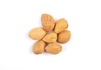 Mandeln in Schale auf weiss