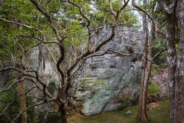 Sigiriya