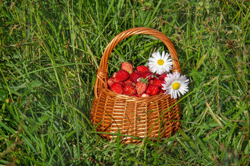 Fototapeta na wymiar Basket with strawberries and flowers