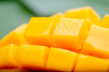 Fresh slice mango with green leaf background