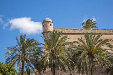 Fototapeta na wymiar The Old Town Skyline in Palma Majorca