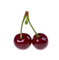 Sour cherry  isolated on white background