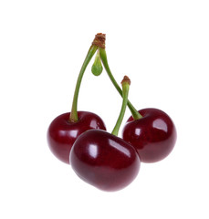 Sour cherry  isolated on white background