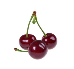 Sour cherry  isolated on white background