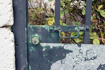 Green painted garden gate lock with rust spots.