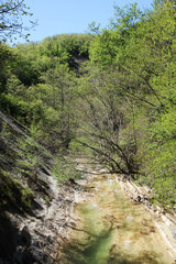 A mountain river Janet, Gelendzhik, Russia