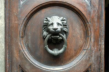 Old metal door handle in the form of a lion head. Door knocker closeup background. Florence, Italy