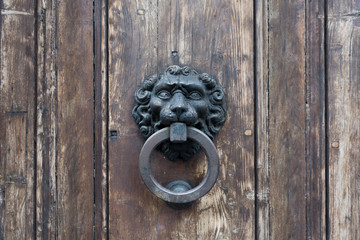 Old metal door handle in the form of a lion. Door knocker closeup background. Florence, Italy