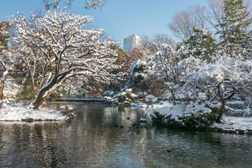 有栖川宮記念公園の雪景色