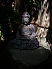 Stone buddha statue in shadowy overgrown garden
