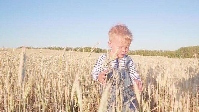 Small farmer. Happy young boy running on field with ripe rye at sunny day slow motion. concept.