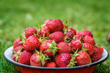 Bowl full of strawberries.