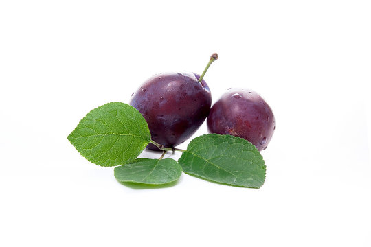 Group of ripe plums with leaf isolated on a white background.