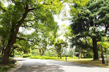 Landscape in Hibiya park