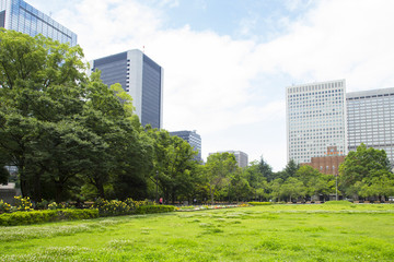 Landscape in Hibiya park