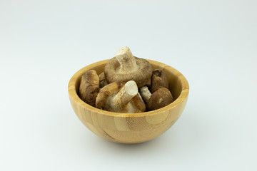 muchroom on isolate white background