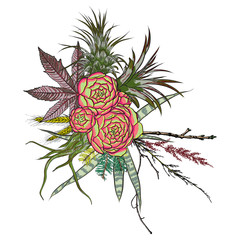 Exotic bouquet set. Flowers. Floral collection with various plants. Sansevieria, snake plant, Red ginger, ostrich plume, pink cone, daisy, roses. Hand drawn illustration. Vector.