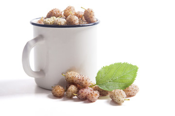White cup with white mulberry fruit and leaf isolated on white.