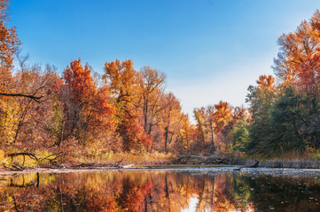 The lake in the autumn forest