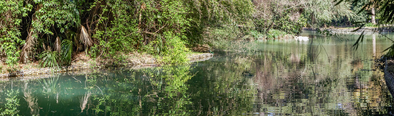Calm in pond of Park Southern cultures. Adler, Russia.