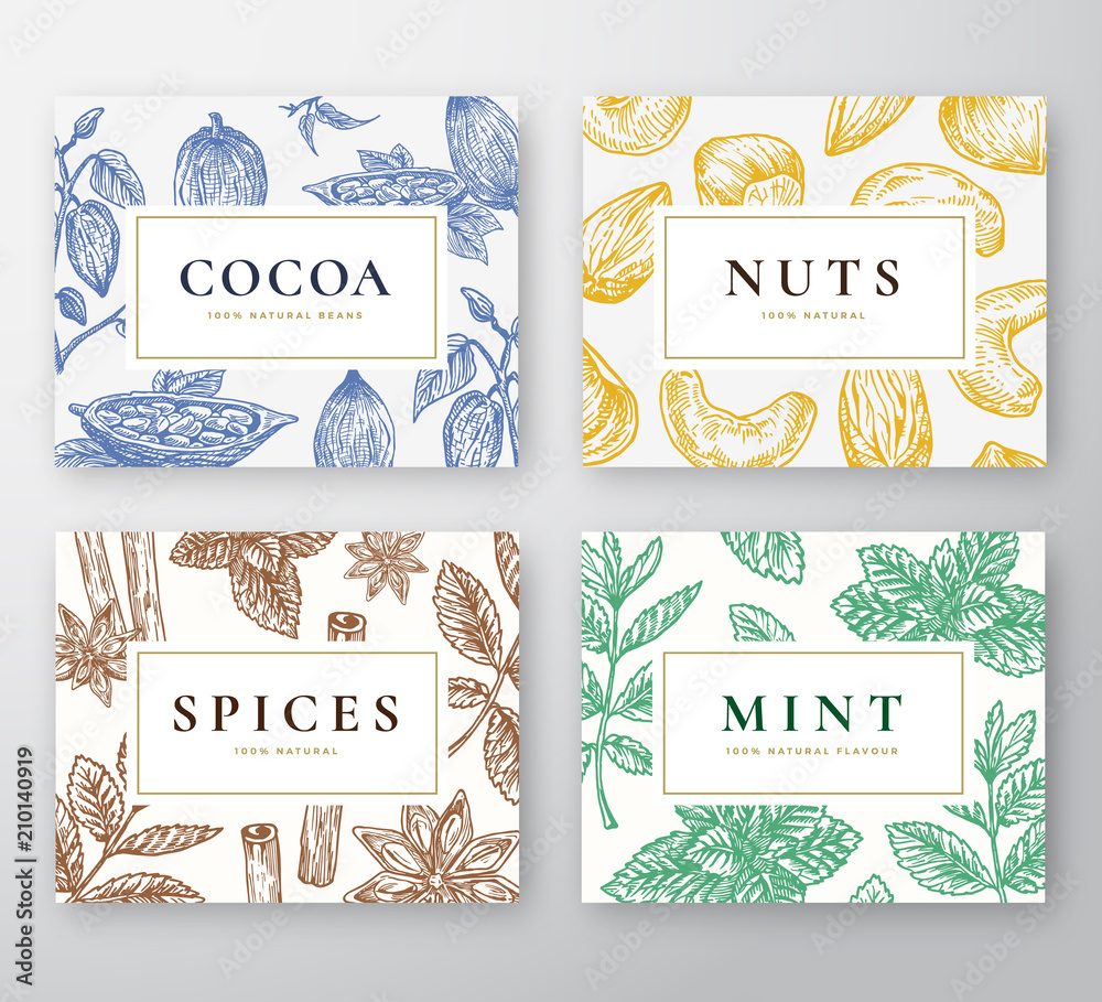 Canvas Prints hand drawn cocoa beans, mint, nuts and spices cards set. abstract vector sketch backgrounds collecti