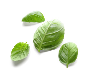 Fresh green basil leaves on white background