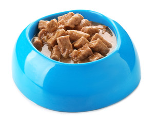 Bowl with pet food on white background