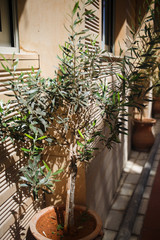  Street of a small town near the sea