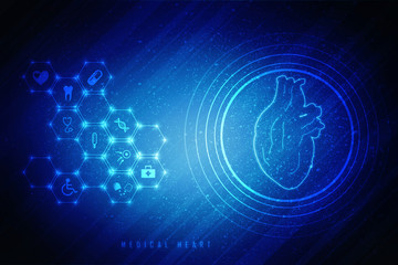 2d illustration  Anatomy of Human Heart 