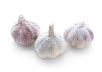 Fresh garlic on white background