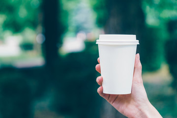 Girl is holding white cup, mug in hands. Mockup for products presentations, logo and text. Hand holding paper cup of coffee in a green park. Branding mockup scene