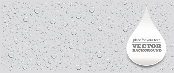 water drops on grey background and place for your text - 210146985