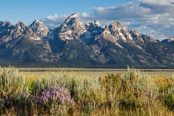 Keuken foto achterwand Tetongebergte Grand Teton National Park