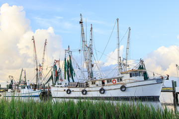 Shrimp Boats in Port Royal, South Carolina
