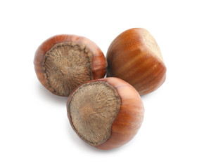 Unpeeled hazelnuts on white background