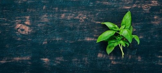 Fresh basil on a wooden black background. Top view. Copy space.