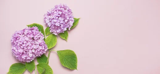 Crédence de cuisine en verre imprimé Hortensia Lilac pink hydrangea flower on pastel pink flat lay background. Mothers Day, Birthday, Valentines Day, Women´s Day, celebration concept. Top view Floral background.