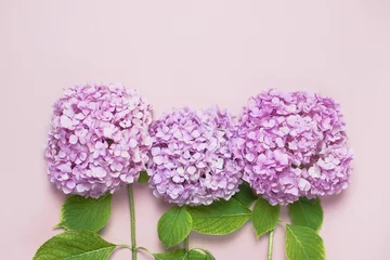 Crédence de cuisine en verre imprimé Hortensia Lilac pink hydrangea flower on pastel pink flat lay background. Mothers Day, Birthday, Valentines Day, Women´s Day, celebration concept. Top view Floral background.