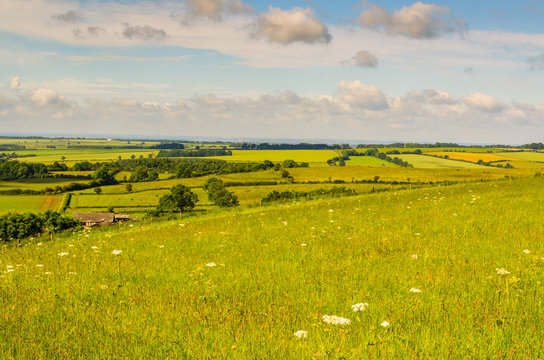 Wolds In Summer
