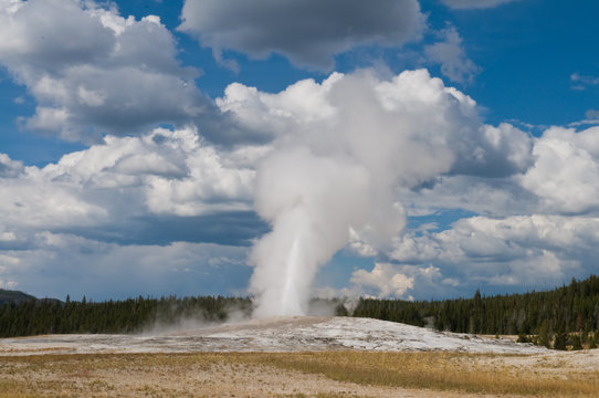 Old Faithful