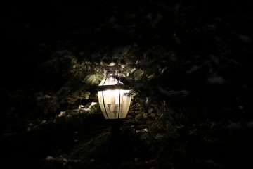 Night light