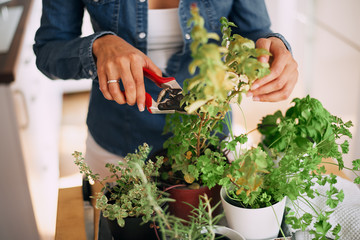 Beautiful mixed race woman gardening.